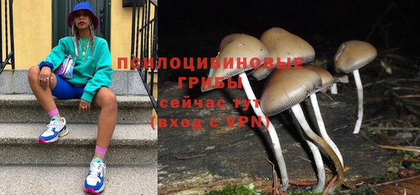 хмурый Балабаново