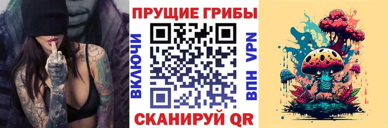 Псилоцибиновые грибы Psilocybine cubensis где продают наркотики KRAKEN маркетплейс Теберда